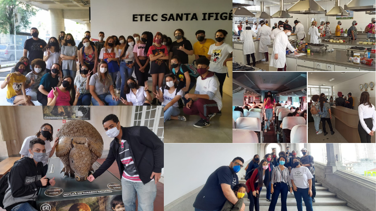Imagem 6 do projeto