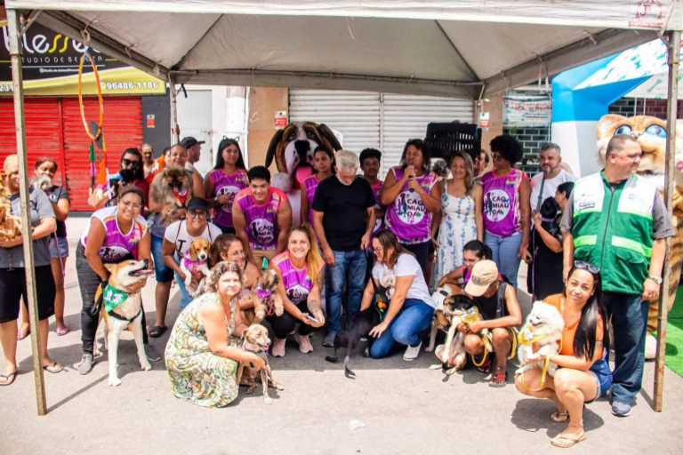 Imagem 3 do projeto