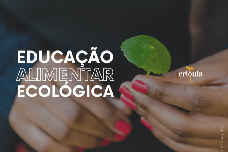Imagem 2 do projeto