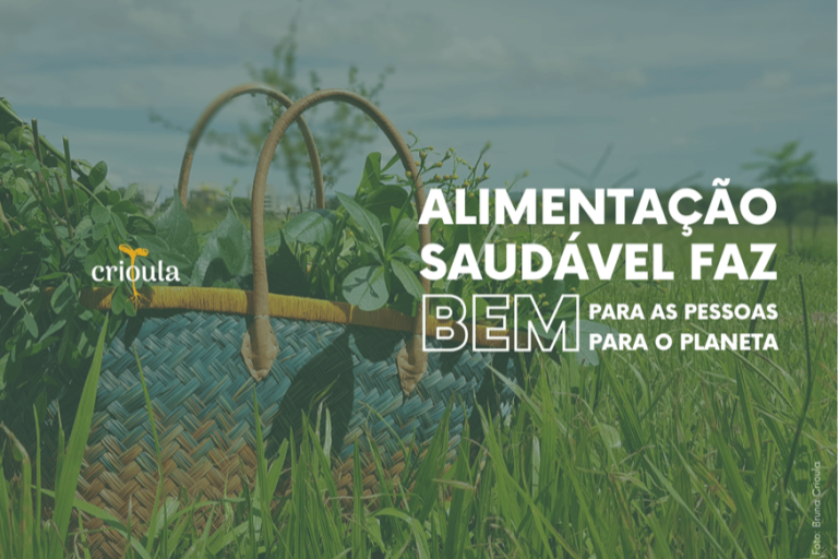 Imagem 5 do projeto