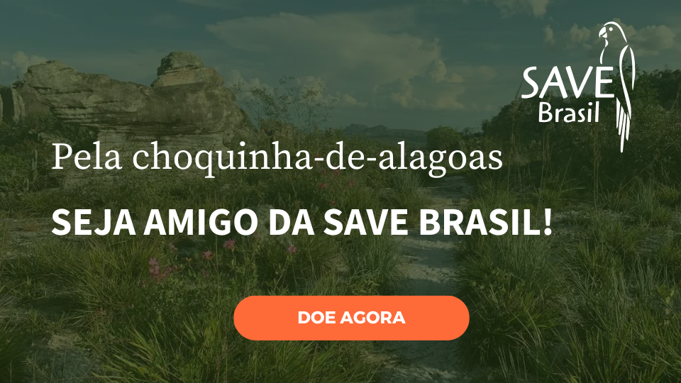 Imagem 1 do projeto