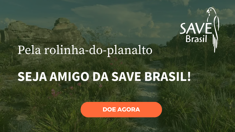 Imagem 2 do projeto