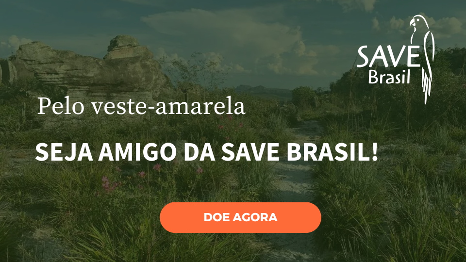 Imagem 3 do projeto