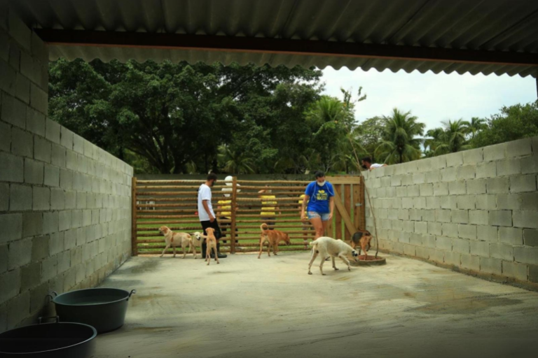 Imagem 4 do projeto