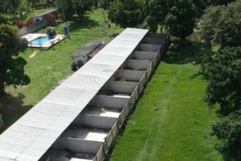 Imagem 5 do projeto