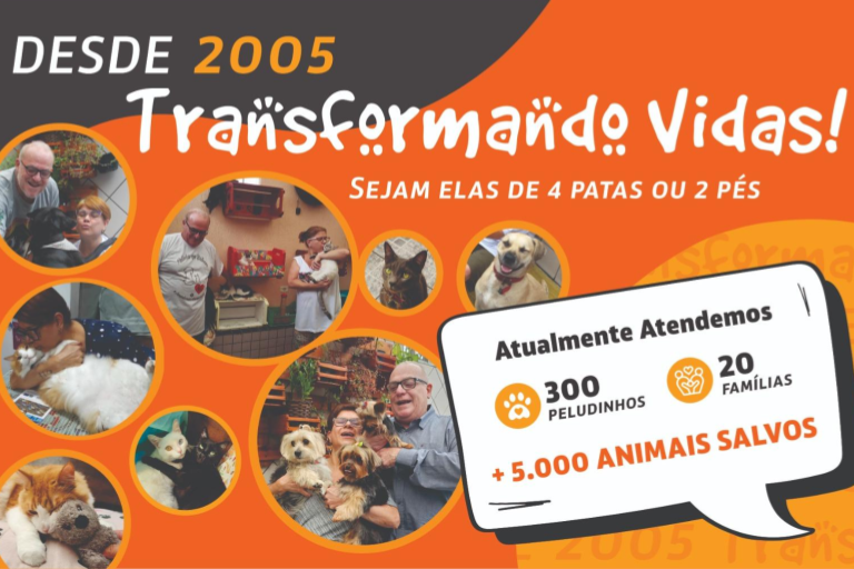 Imagem 1 do projeto