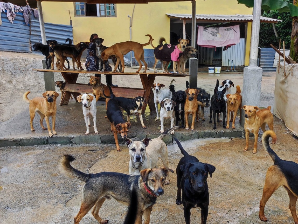 Imagem 7 do projeto